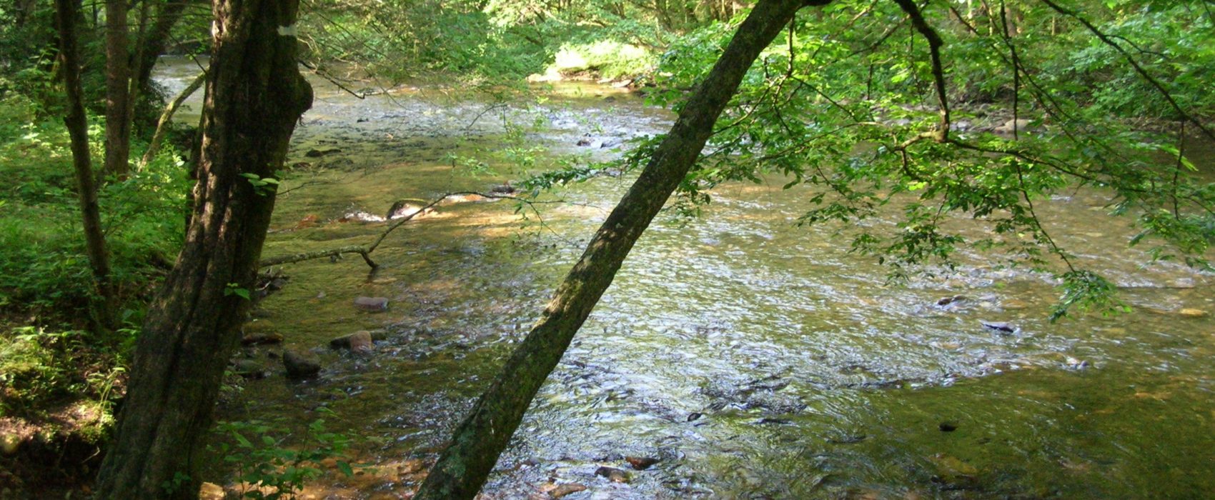 Tallulah River Near Garrett Branch